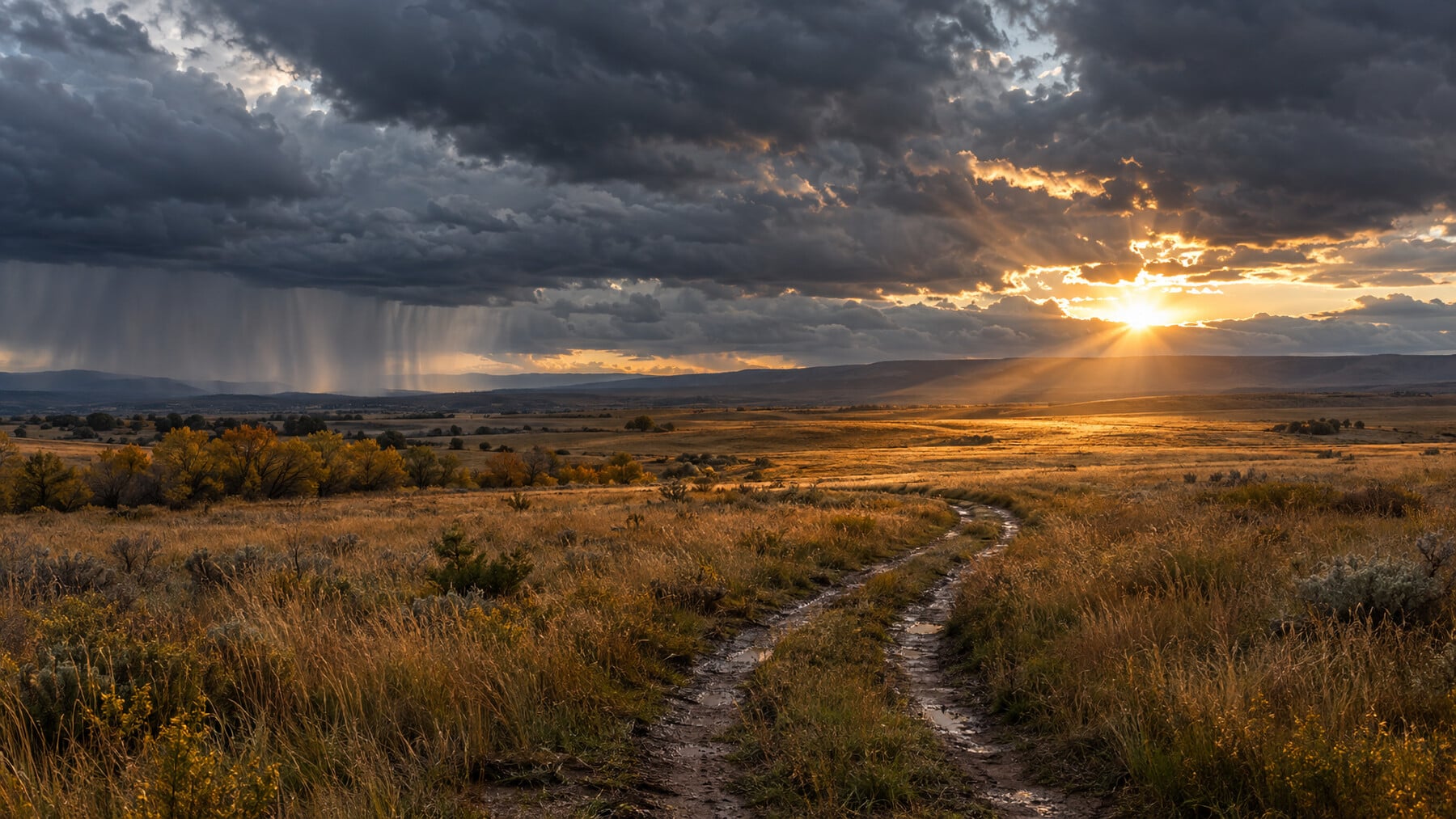 Sunlight breaking through dark storm clouds over an autumn prairie as rain falls in the distance, a muddy track leading toward the light, a symbol of ketamine for suicidal thoughts as a bridge through a dark stretch.